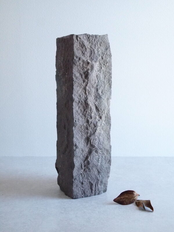 VASE-L 002 - 画像 (2)