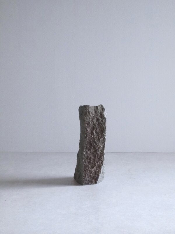 VASE-L 007 - 画像 (2)