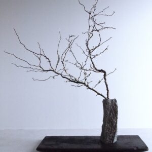 VASE-L 007