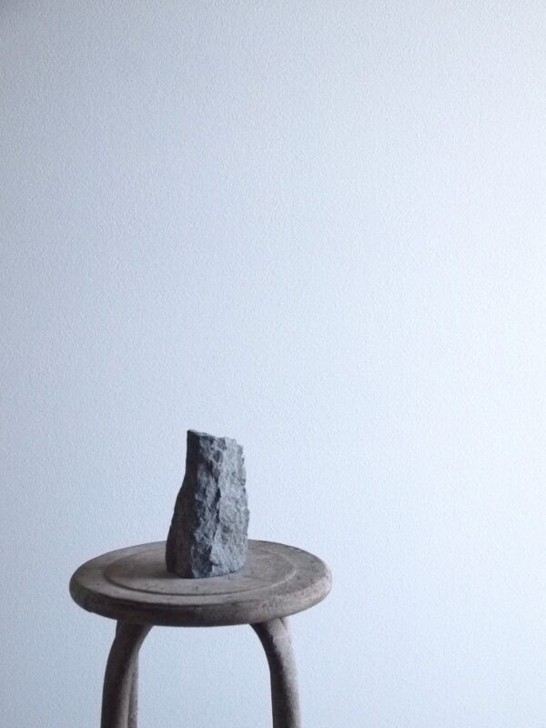 VASE-S 017 - 画像 (2)