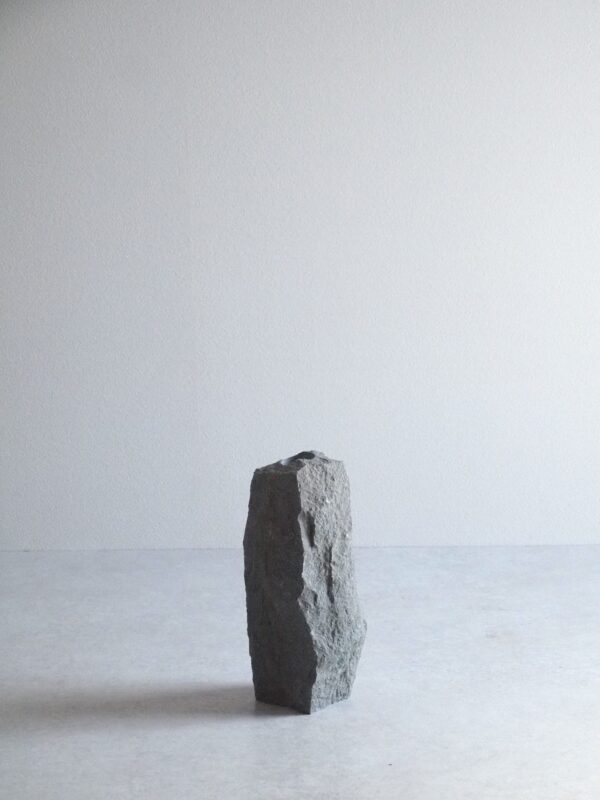 VASE-M 006 - 画像 (3)