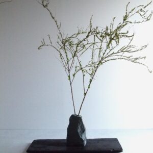 VASE-M 007