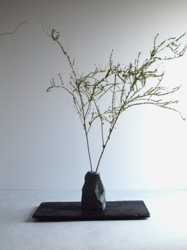 VASE-M 007