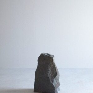 VASE-M 007