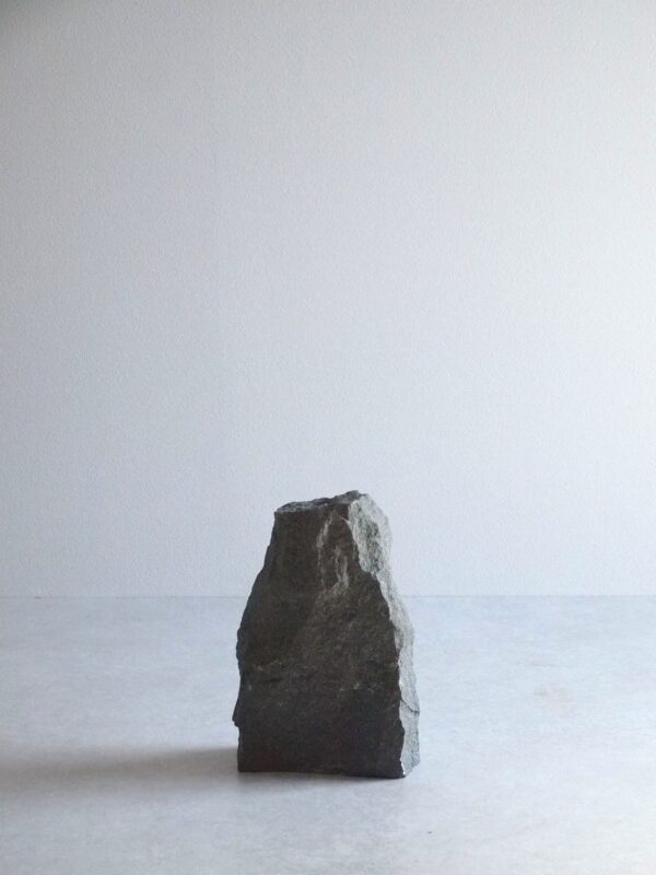 VASE-M 007 - 画像 (3)