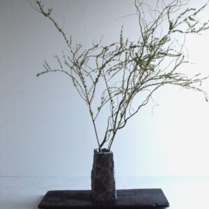VASE-L 009