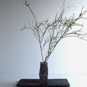 VASE-L 008