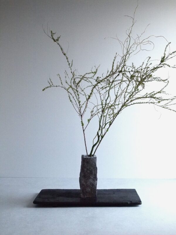 VASE-L 008