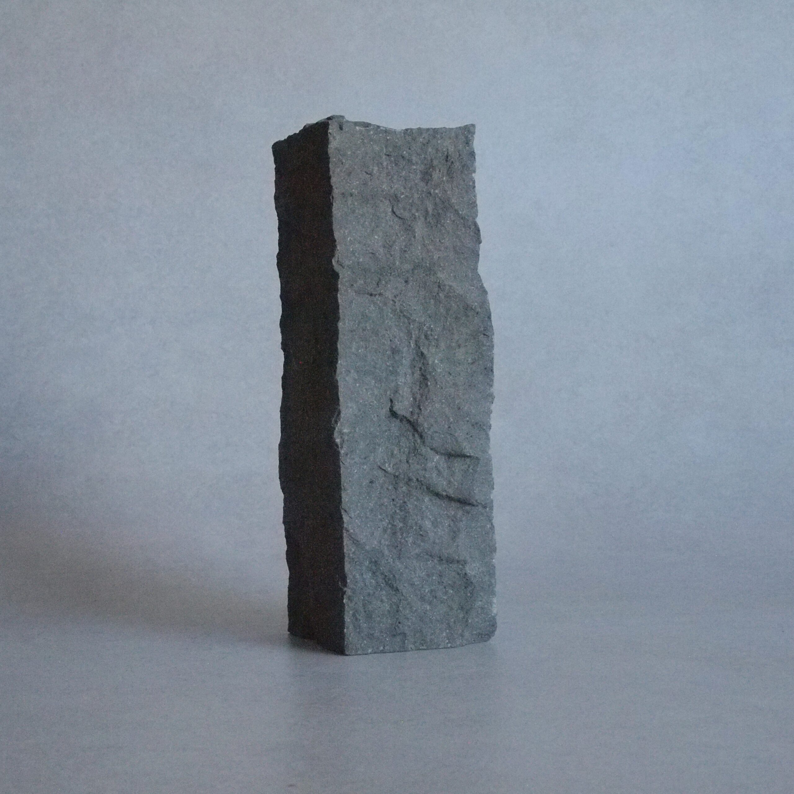 VASE-L 007 - 画像 (2)